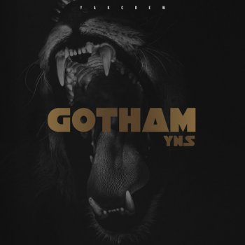 Yns Gotham