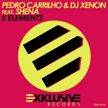 Pedro Carrilho & DJ Xenon feat. Shena 5 Elements (Kourosh Tazmini & Litos Diaz Remix)