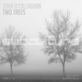 John O'Callaghan Two Trees