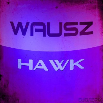 Wausz Hawk - Radio Edit