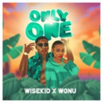 wisekid Only One