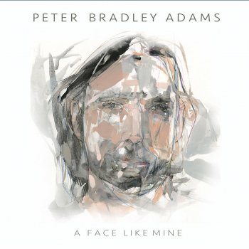 Peter Bradley Adams My Arms Were Always Around You
