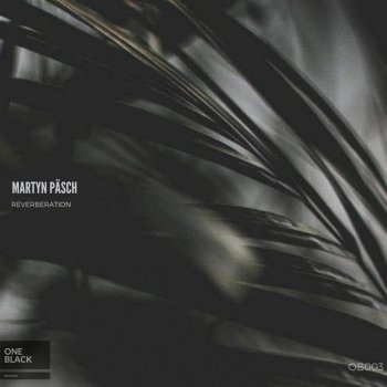 Martyn Päsch Reverberation - Original Mix