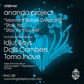 The Ananda Project Moment Before Dreaming (Idjut Boys remix I)