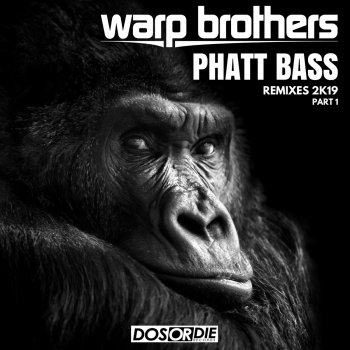 Warp Brothers Phatt Bass (David Novacek Extended Remix)