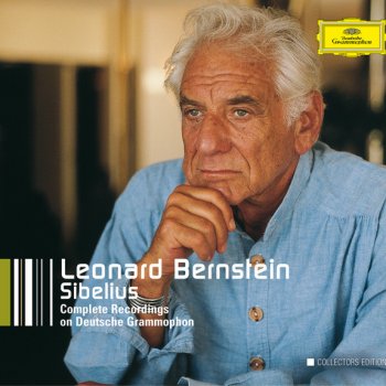 Jean Sibelius feat. Wiener Philharmoniker & Leonard Bernstein Symphony No.1 In E Minor, Op.39: 1. Andante, ma non troppo - Allegro energico - Live At Grosser Saal, Musikverein, Wien / 1990