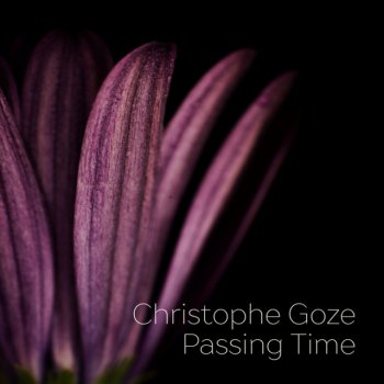 Christophe Goze Passing Time