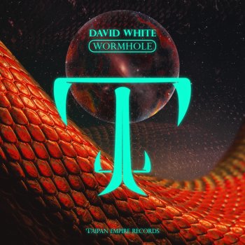 David White Wormhole (Extended Mix)