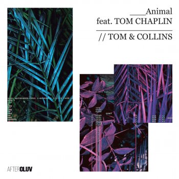 Tom & Collins feat. Tom Chaplin Animal
