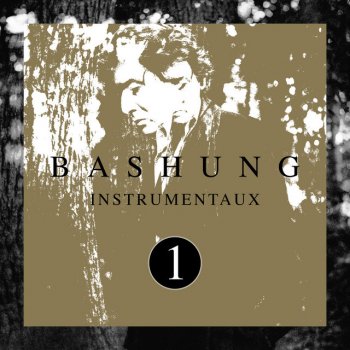 Alain Bashung Madame Reve (Instrumental)