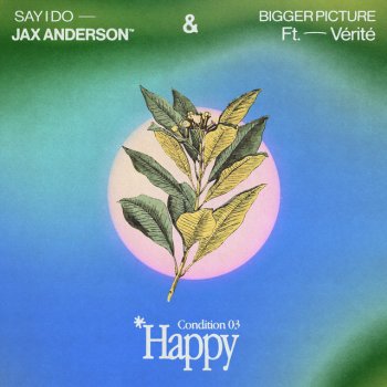 Jax Anderson feat. VÉRITÉ Bigger Picture (feat. VÉRITÉ)