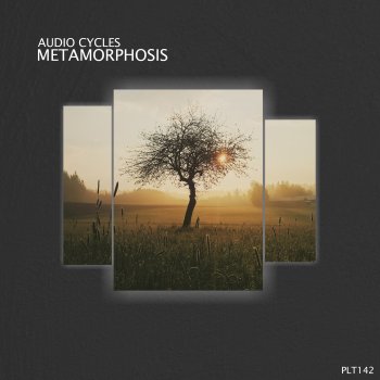 Audio Cycles Metamorphosis (Listeners Edition)