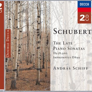 András Schiff Piano Sonata No. 21 in B-Flat, D. 960: II. Andante sostenuto