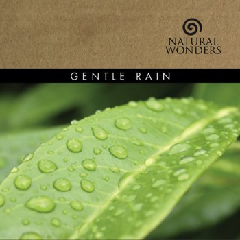 David Arkenstone Gentle Rain
