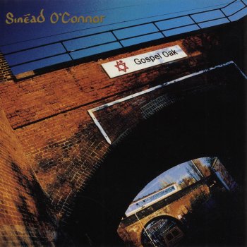 Sinead O'Connor This Is a Rebel Song