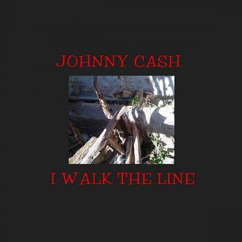 Johnny Cash Ring of Fire (Mono)
