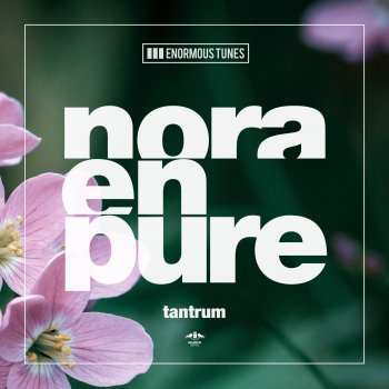 Nora En Pure Tantrum (Extended Mix)