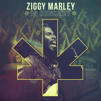 Ziggy Marley Higher Vibrations [live]