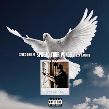 Stack Bundles Spread Your Wings (So Fly) (feat. Raheem DeVaughn)