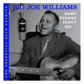 Big Joe Williams Somebody's Been Worryin'