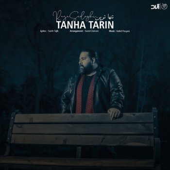 Reza Sadeghi Tanha Tarin - Single