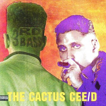 3rd Bass Who’s the Third