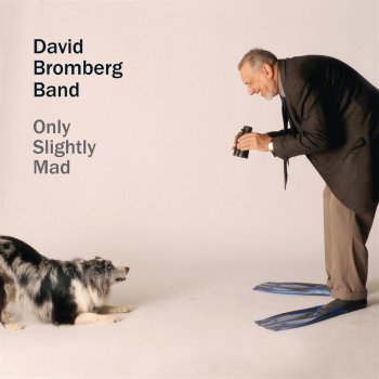 David Bromberg You've Got to Mean It Too