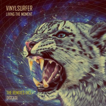 Vinylsurfer Living the Moment