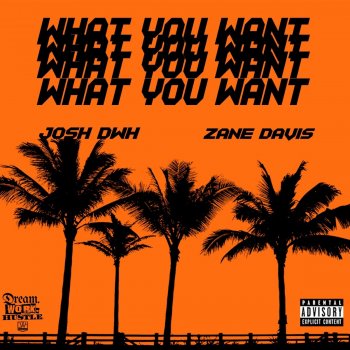 Josh DWH feat. Zane Davis What You Want