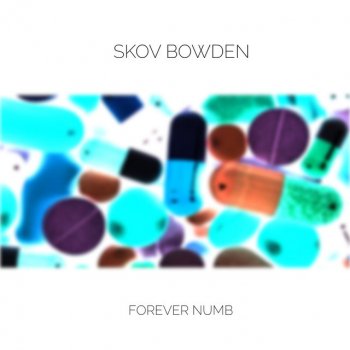 Skov Bowden Whatever