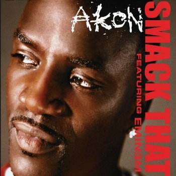 Akon feat. Eminem Smack That