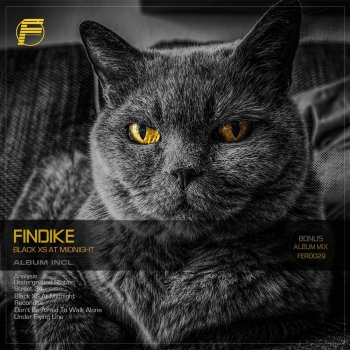 Findike Under Flying Line