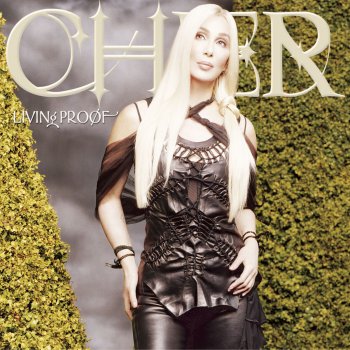 Cher The Look