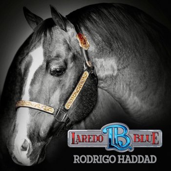 Rodrigo Haddad Laredo Blue