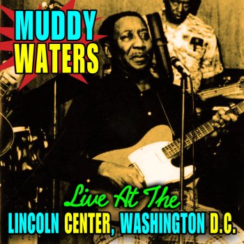 Muddy Waters Stormy Monday (Live)