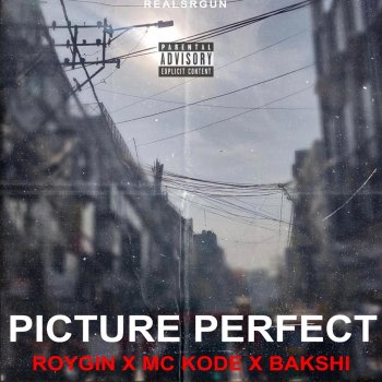A. Roy feat. Gin, Mc Kode & Ajinkya Bakshi Picture Perfect