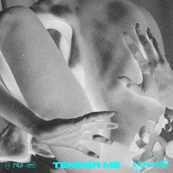 Tessa Dixson Tender Me (Stereoclip Extended Remix)