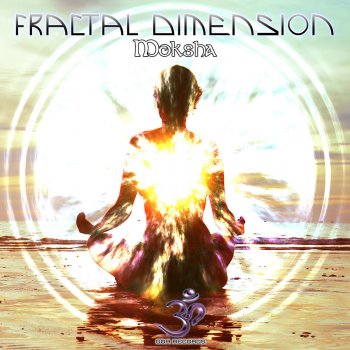 Fractal Dimension Out of Reality
