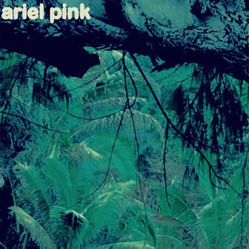 Ariel Pink Burned Out Love