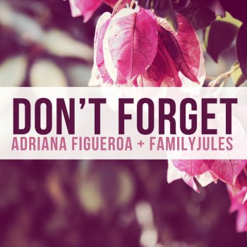 Adriana Figueroa feat. FamilyJules Don't Forget (from "DELTARUNE")