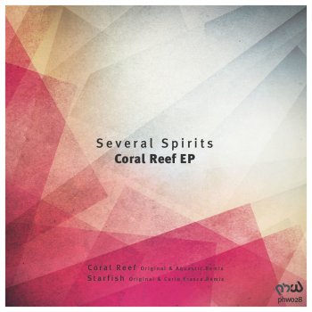 Several Spirits feat. Aquastic Coral Reef - Aquastic Remix