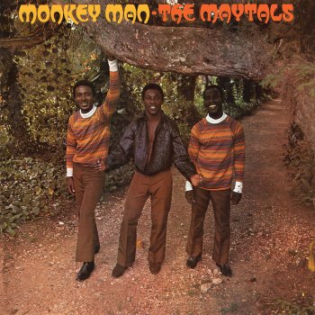 The Maytals Monkey Man