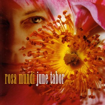June Tabor Rose in June