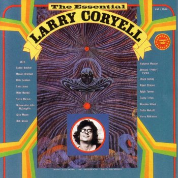 Larry Coryell Elementary Guitar Solo #5