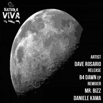 Dave Rosario B4 Dawn - Mr. Bizz Remix