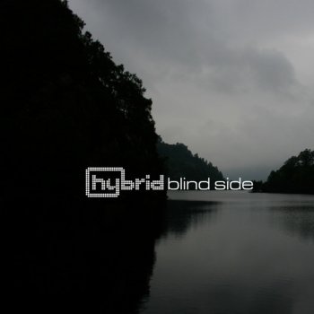 Hybrid Blind Side