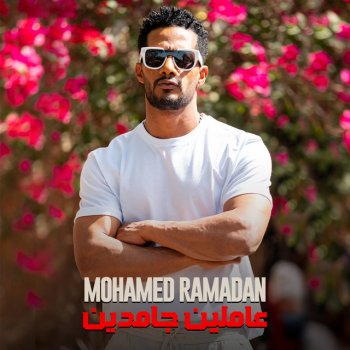 Mohamed Ramadan Amleen Gamdeen