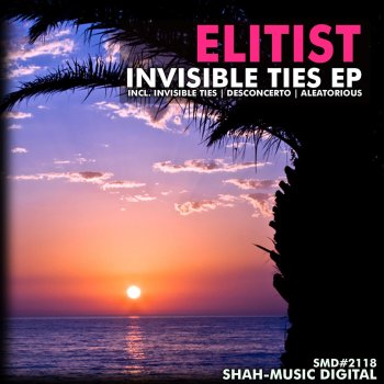 Elitist Desconcerto (Radio Edit)