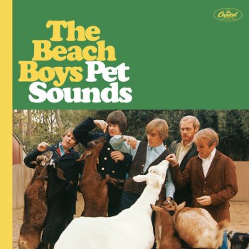 The Beach Boys I Just Wasn't Made For These Times - Mono