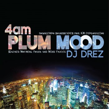 DJ Drez Wildly Calm